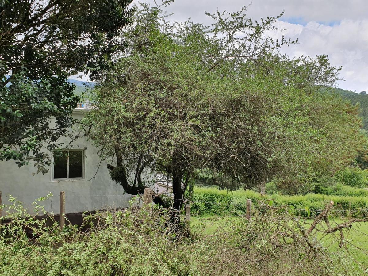 Casas De Raco Villa Exterior foto
